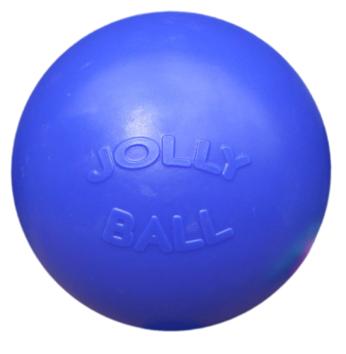 Jolly Ball Push-n-Play 25cm blauw