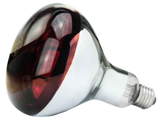Lamp 250 W infrarood Hard Glas