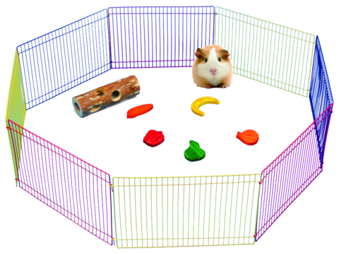 Exercise Play Pen